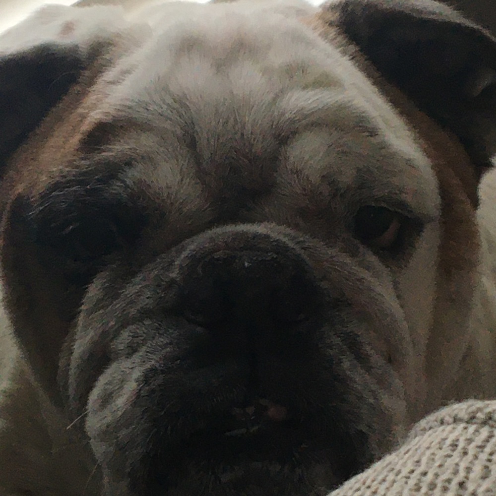 Meet your Posher, Joseph